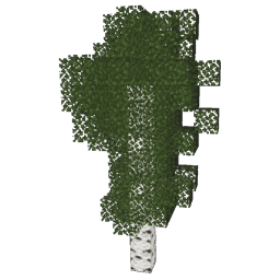 ../../_images/birch_1.png