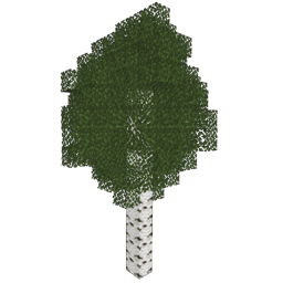 ../../_images/birch_5.png