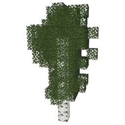 ../../_images/birch_1.png
